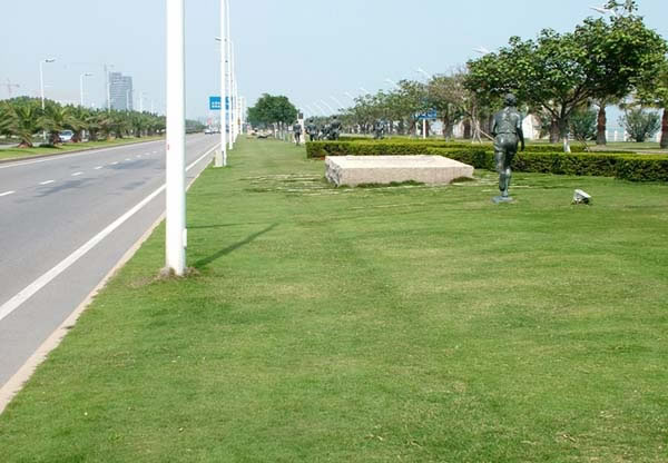 公路绿化带绿化植草格工程