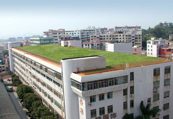 屋顶绿化绿化植草格工程